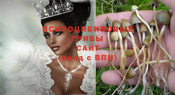 Альфа ПВП Нязепетровск