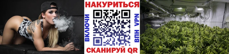Бошки марихуана SATIVA & INDICA  что такое   Калининец 